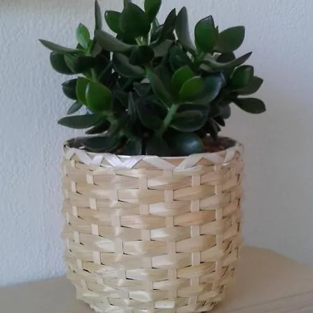 Διαμέρισμα Escale Au Grau Du Roi *